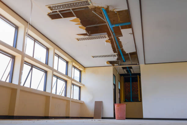 Best Water damage contractors near me  in Houston, MO