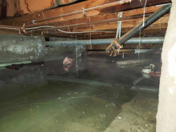 Fire Damage Restoration in Houston, MO