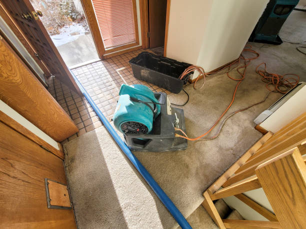 Reliable Houston, MO Water damage restoration Solutions
