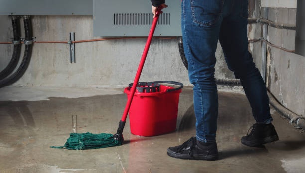 Best Water damage restoration company  in Houston, MO