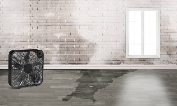 Best 24-hour water damage restoration  in Houston, MO