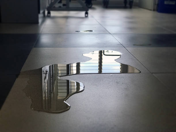Best Commercial water damage restoration  in Houston, MO