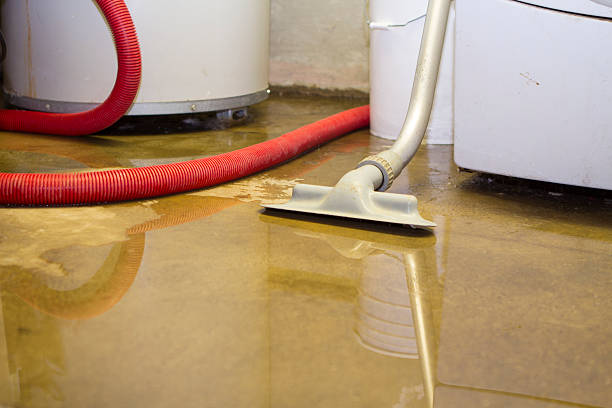 Best 24/7 water damage repair  in Houston, MO