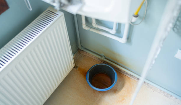 Best Flood damage cleanup  in Houston, MO