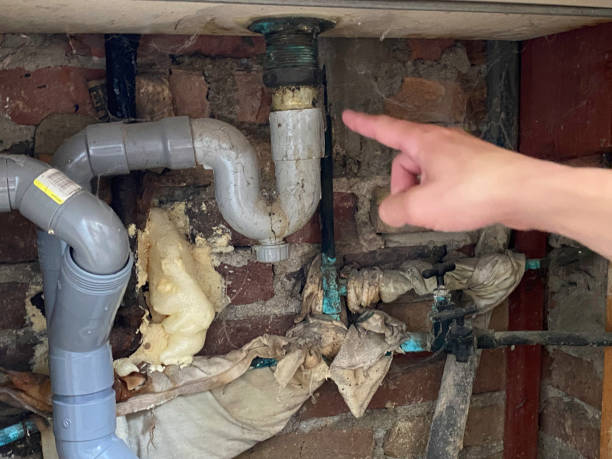 Best Water damage contractors near me  in Houston, MO