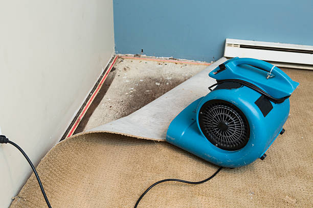 Best 24/7 water damage repair  in Houston, MO