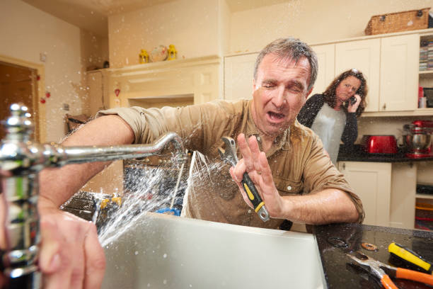 Best Mold removal after water damage  in Houston, MO